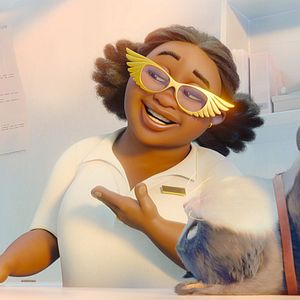 Bilder Alles für die Katz