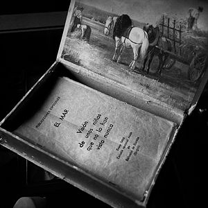 Bilder Der Lehrer, der uns das Meer versprach