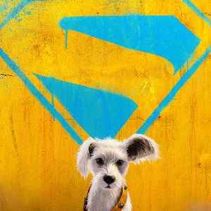 Bilder Supergirl