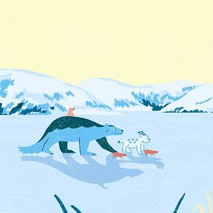 Bilder Weihnachten der Tiere