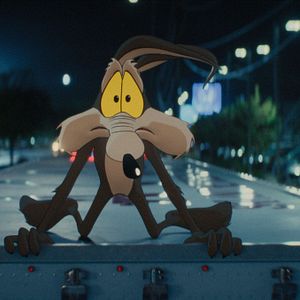 Bilder Coyote vs. ACME