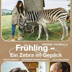 Bilder Frühling - Ein Zebra im Gepäck