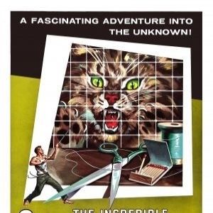 Bilder Die unglaubliche Geschichte des Mister C.