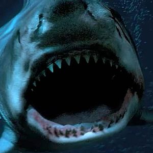 Bilder Great White Waters