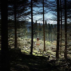 Bilder Im Rosengarten