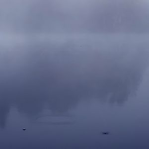 Bilder Gretas Geburt