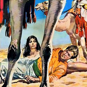 Bilder Robert Hoffmann