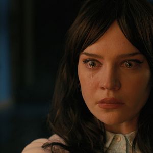 Bilder Companion - Die perfekte Begleitung