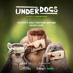 Bilder Underdogs – Außenseiter des Tierreichs 