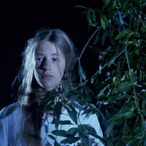 Bilder Schweinesand - Eine Insel voller Geheimnisse