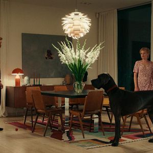 Bilder Julia Franz Richter