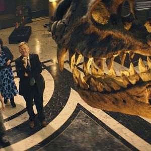 Bilder Die Schule der magischen Tiere 3