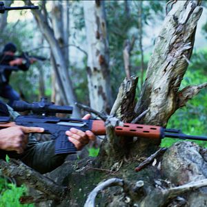 Bilder Dominique - Rise Of The Phoenix