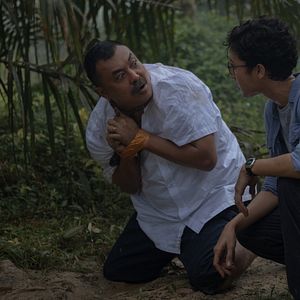 Bilder Borderless Fog