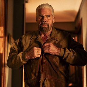 Bilder Ron Perlman