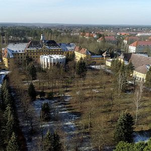 Bilder Krieg oder Frieden