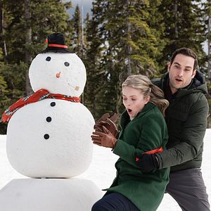 Bilder Das Liebesgestöber