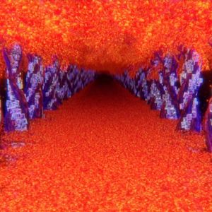 Bilder Tunnel To Summer