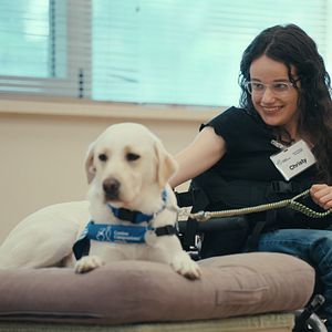 Bilder Was Hunde denken