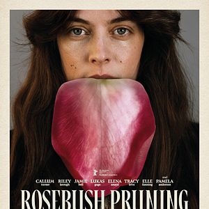 Bilder Rosebush Pruning