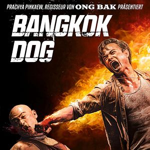 Bilder Bangkok Dog