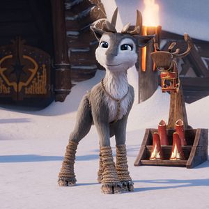 Bilder Niko - Reise zu den Polarlichtern