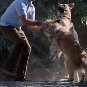 Bilder Wo der Schrecken wohnt