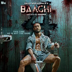 Bilder Baaghi 4