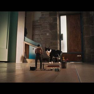 Bilder Der Mann, der immer kleiner wurde - Die unglaubliche Geschichte des Mr. C