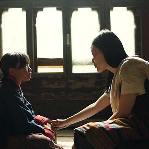 Bilder Was will der Lama mit dem Gewehr?