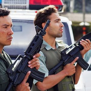 Bilder Dominique - Rise Of The Phoenix