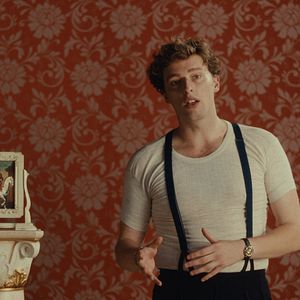 Bilder Noch lange keine Lipizzaner