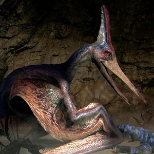 Bilder The Land That Time Forgot - Gefangen in der Urzeit