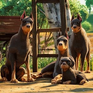 Bilder Aufstand der Tiere