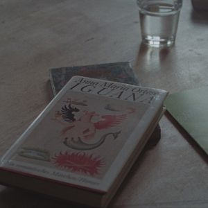 Bilder Auslandsreise