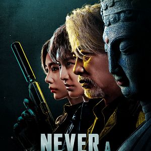 Bilder Never A Thief