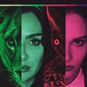 Bilder Der Vogel und die Löwin