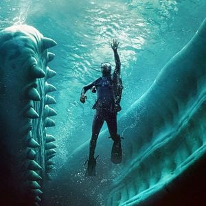 Bilder Whalefall