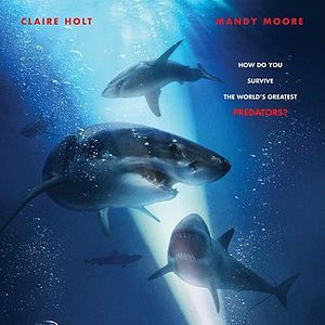 Bilder 47 Meters Down