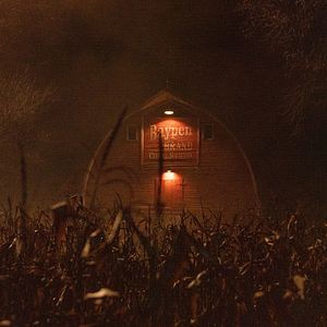 Bilder Clown In A Cornfield