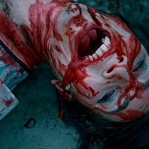 Bilder Julia Dorothee Brunsch