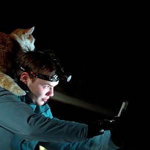 Bilder Folktales - Mit Schlittenhunden ins Leben