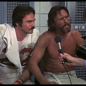 Bilder Zwei ausgebuffte Profis