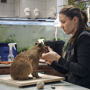 Bilder Archiv der Zukunft