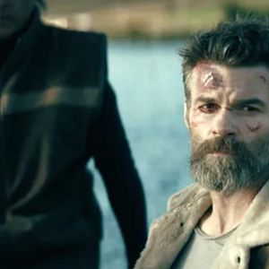 Bilder Daniel Gillies