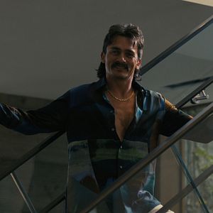 Bilder Companion - Die perfekte Begleitung