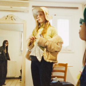 Bilder Mücke 