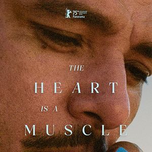 Bilder The Heart Is A Muscle