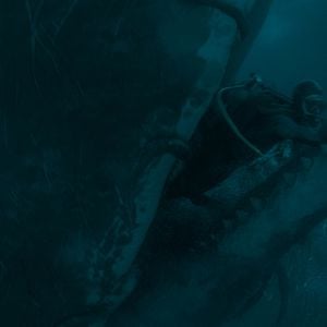 Bilder Whalefall