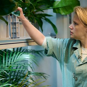 Bilder In The Blink Of An Eye